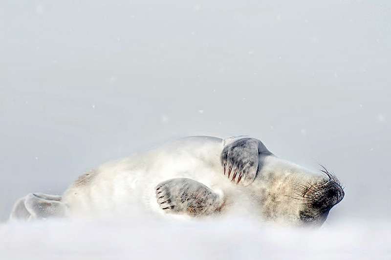 鎯犳儬鎽勫奖浣滃搧娆ｈ祻,鎯犳媿鎽勫奖