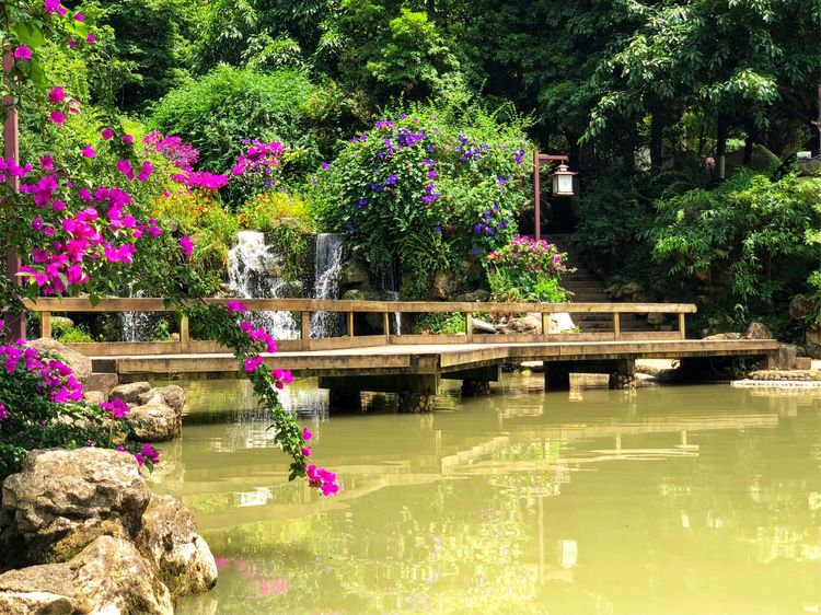 炎炎夏日何处去青岩古镇觅清凉,这个初夏去静谧的古镇寻一处清凉