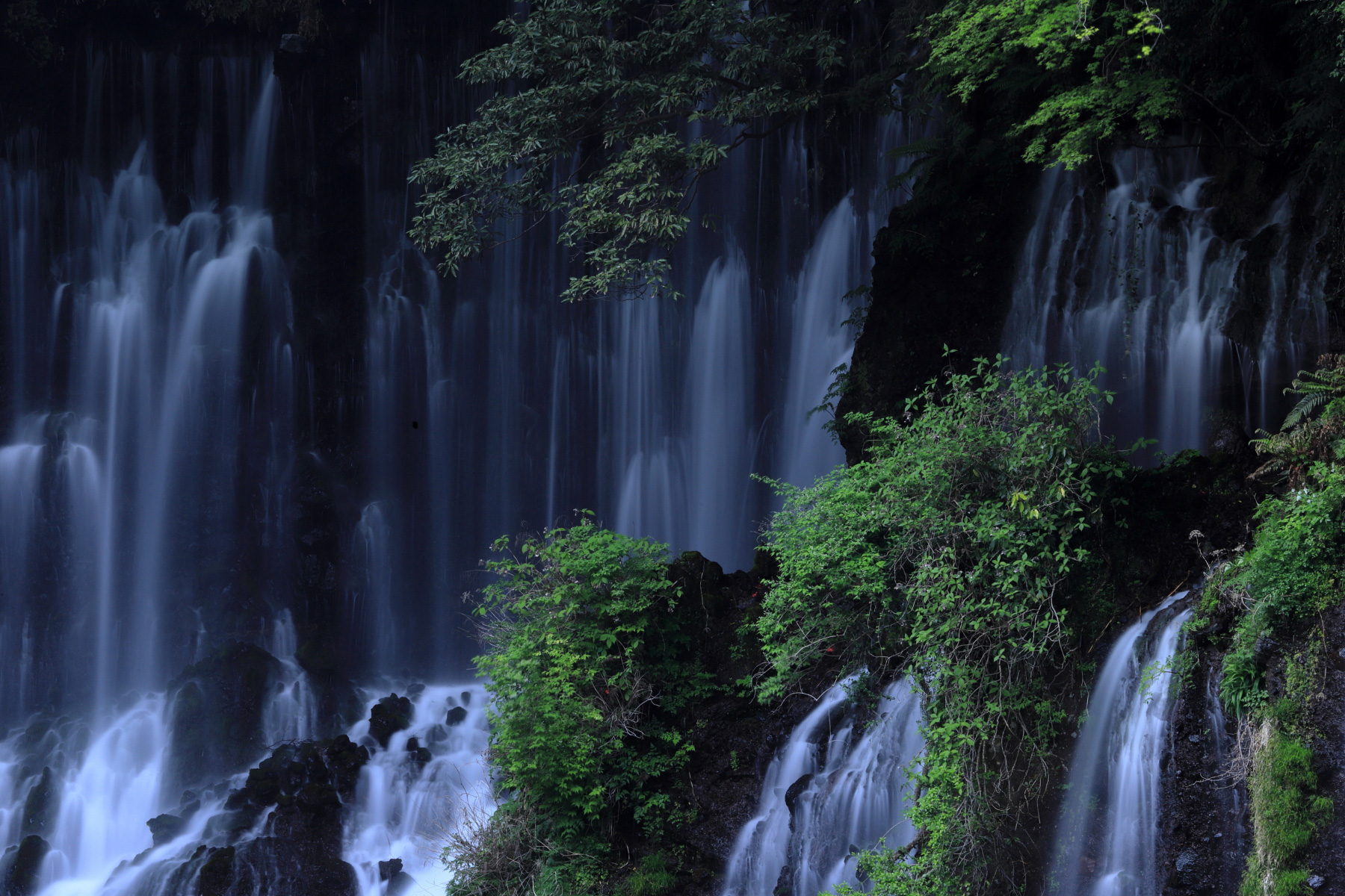 佳能70-200mmf2.8一代全新多少钱,佳能70-200mmf4一代