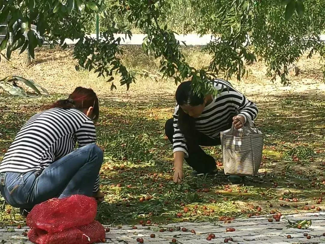 一日不见如隔三秋下一句什么,一日不见如隔三秋用古诗怎么说