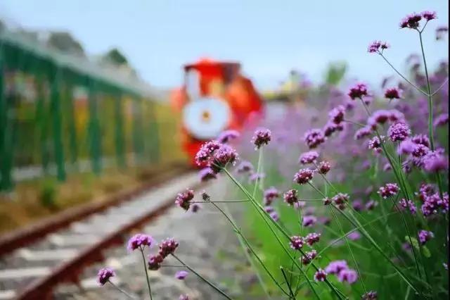 义乌游玩好去处义乌海洋世界,义乌五一亲子游推荐水上乐园