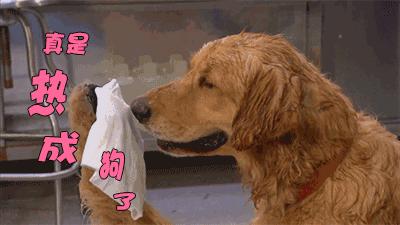 我哩天！世界杯期间，这群阜阳人不看球！竟然跑去干这事！