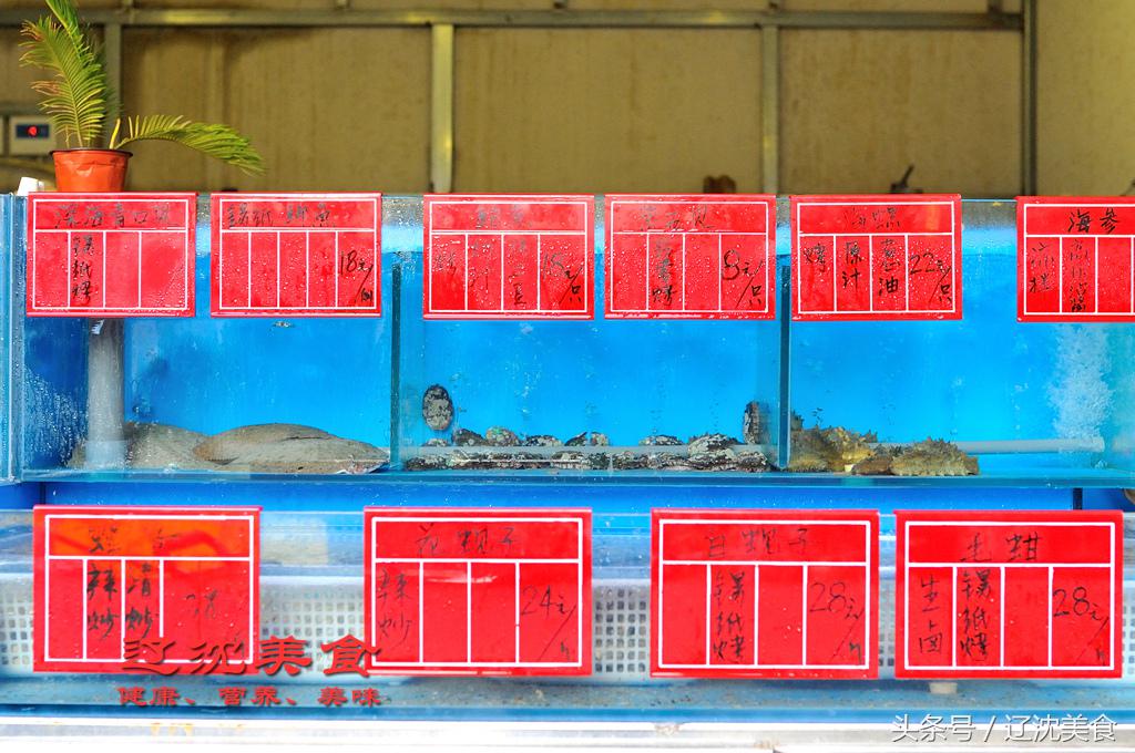 世界杯开幕球迷狂欢,世界杯预选赛沈阳足球现场球迷