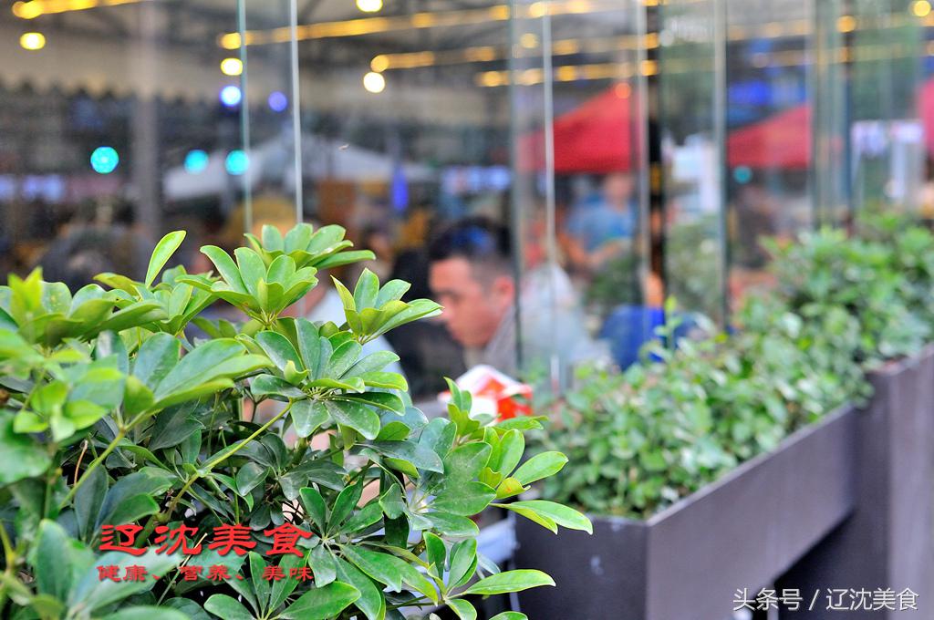 沈阳足球球迷助威,东北人为中国健儿助威的方式