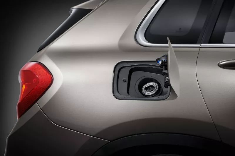 绿茵上的绿色生活，之诺申花激情足球夜开启球迷狂欢季