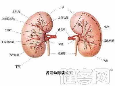 禁毒宣传勿以恶小而为之,你以为的vs实际上的禁毒宣传