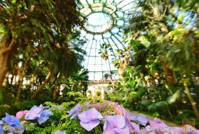 布鲁塞尔老街图,布鲁塞尔街头的美女