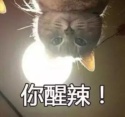 夏天体毛多的烦恼,夏天体毛长得快怎么办