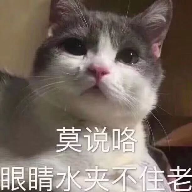 国足无缘德国世界杯,国足无缘世界杯完整版