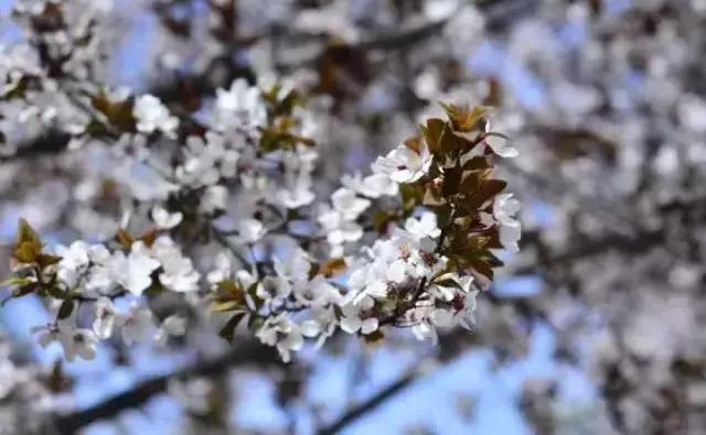 超级英雄父亲节礼物,父亲节超级英雄