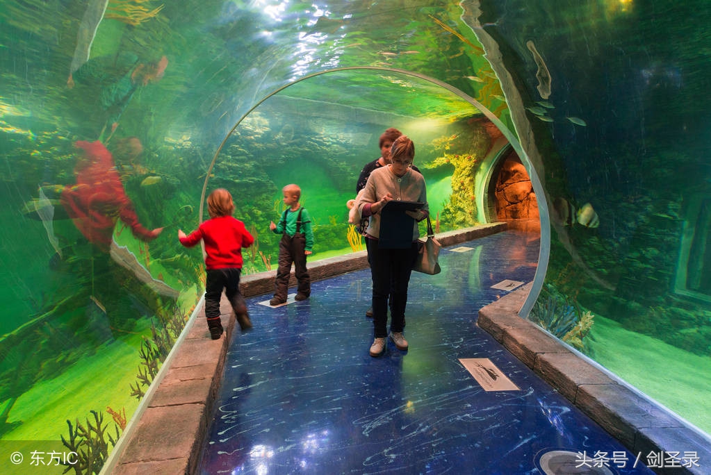 增广贤文人生在世多见多闻,增广贤文世事明如镜