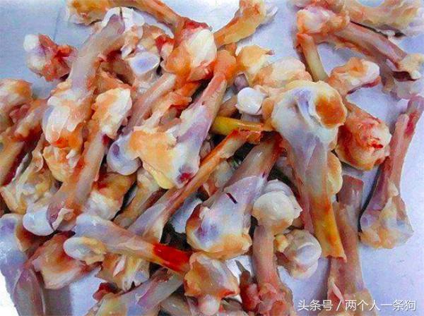 4种生活中非常常见能够让宠物狗致死的食物，第三种很多人经常喂