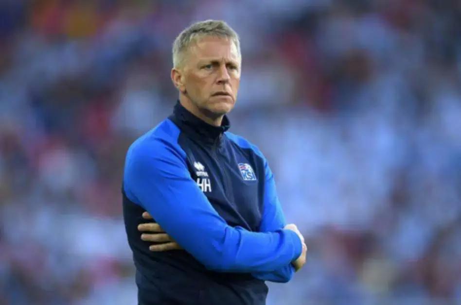 冰岛世界杯惊艳全场,冰岛闯入世界杯有多不可思议