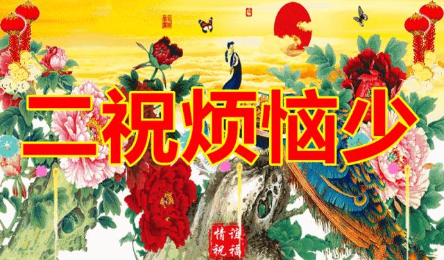 端午节问候网红视频,端午节问候视频