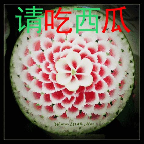 端午节问候网红视频,端午节问候视频