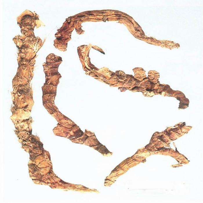 王药师带你认草药-艾叶、菖蒲