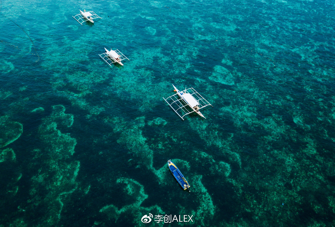 菲律宾宿务薄荷岛潜水之行,菲律宾宿务岛旅游潜水