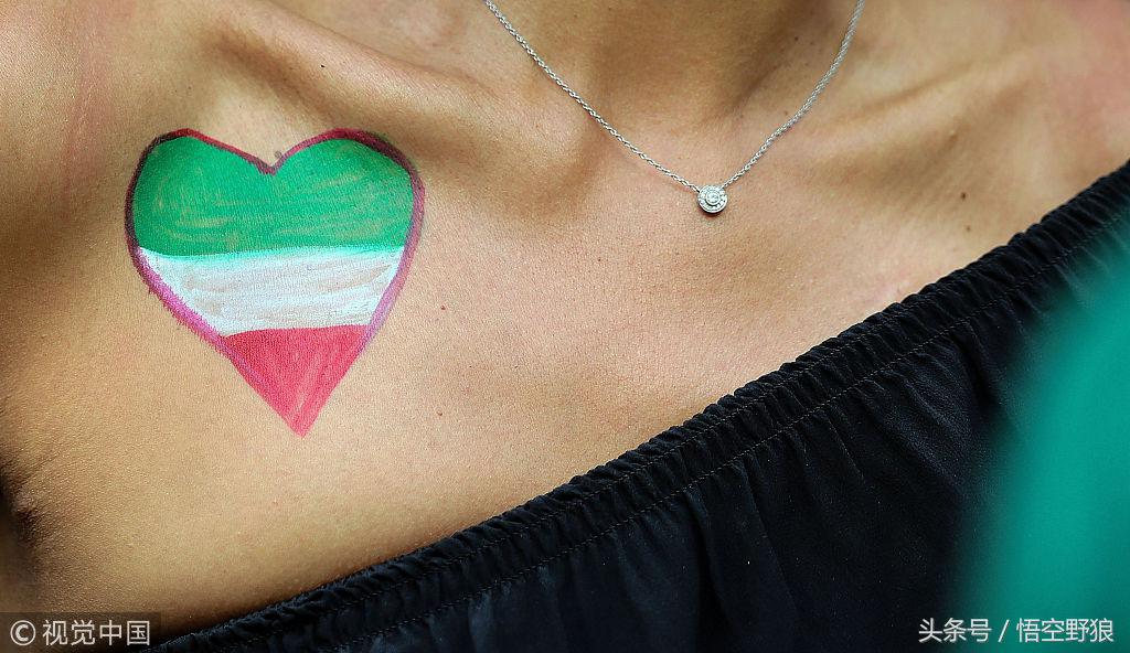 世界杯各种球迷图,世界杯球迷百态彩绘