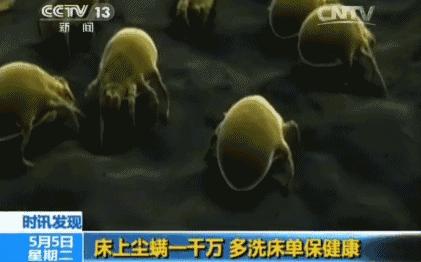 宝宝螨虫怎么消除,螨虫对儿童有哪些危害动画