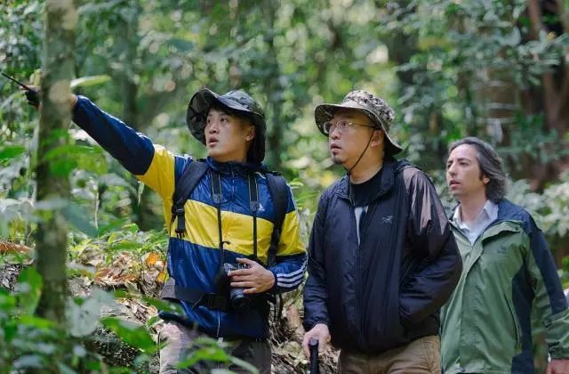 神奇女侠死侍黑亚当联合主演新片,杰森斯坦森与神奇女侠新片