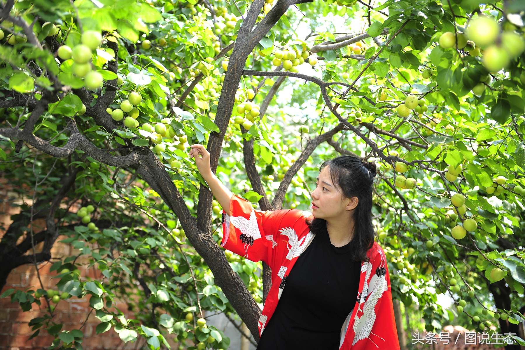 父亲节这天过得真快乐,父亲节的一天视频