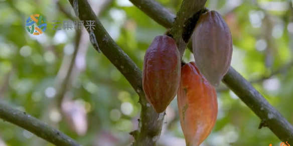 豆瓣8.9高分,豆瓣8.9评分经典