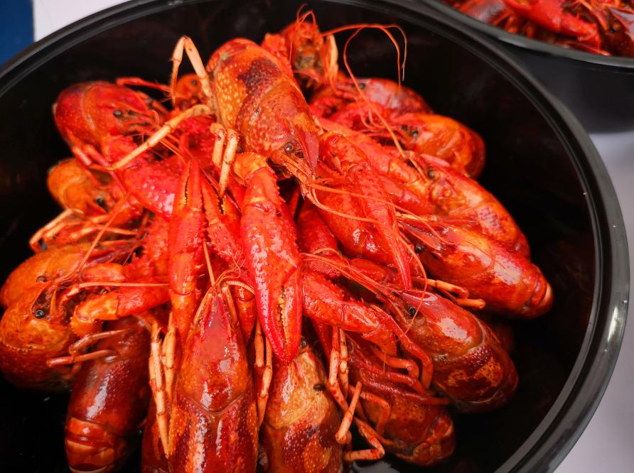 摇滚啤酒美食世界杯2018都江堰国际啤酒纳凉节盛大开幕