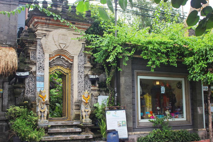 巴厘岛怎么玩省钱又舒服,巴厘岛攻略自由行详细