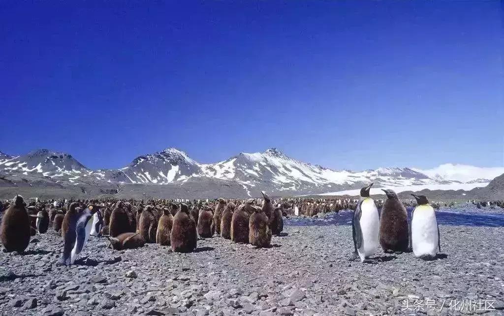 无锡护照和签证,无锡护照免签国家