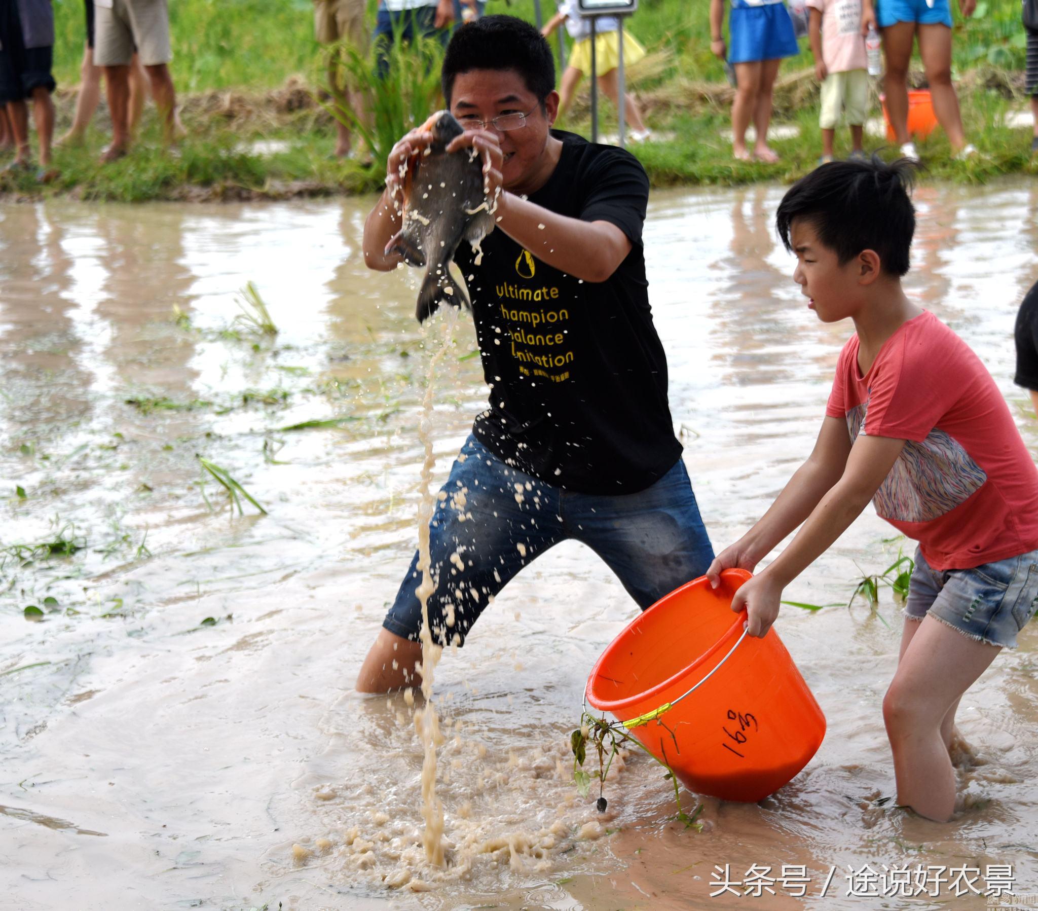 井陉豌豆农庄一日游,孙庄村豌豆农庄
