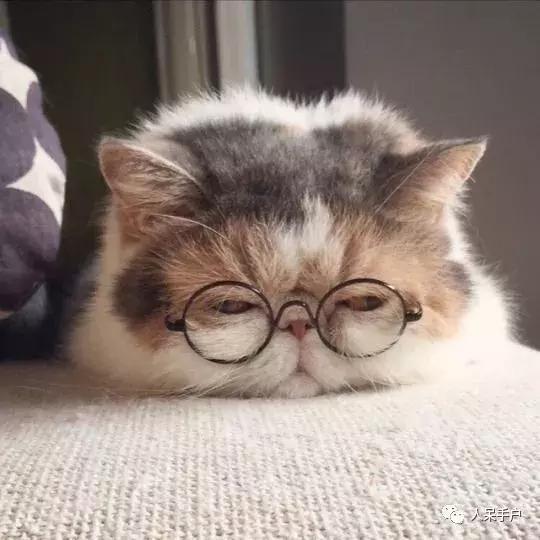 黄曲霉毒素真的有这么可怕吗,黄曲霉素的特点