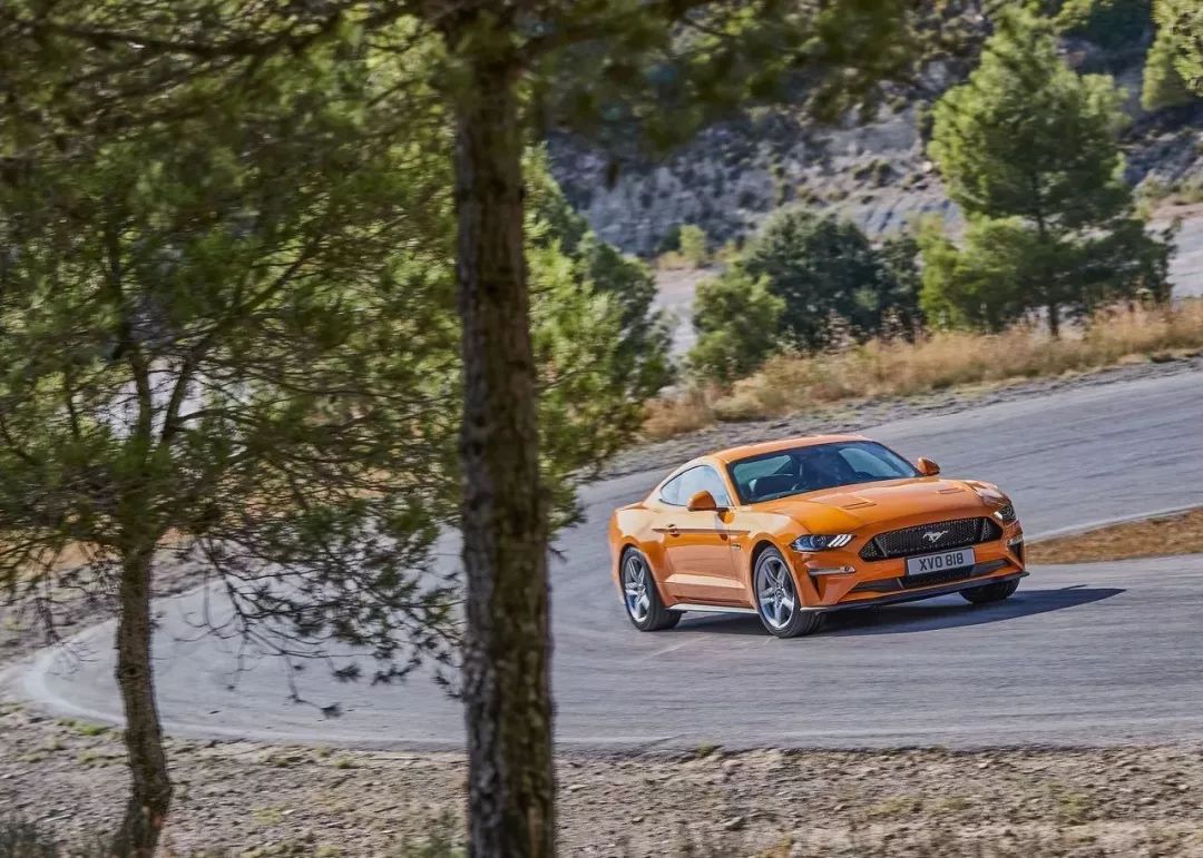 宝马z4和野马哪个性价比高,30万预算买宝马z4还是野马