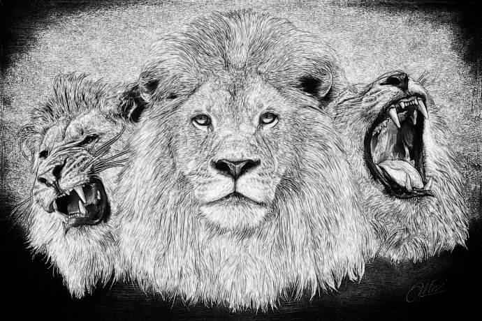 三喵军团变三狮军团,三喵军团何时才能崛起