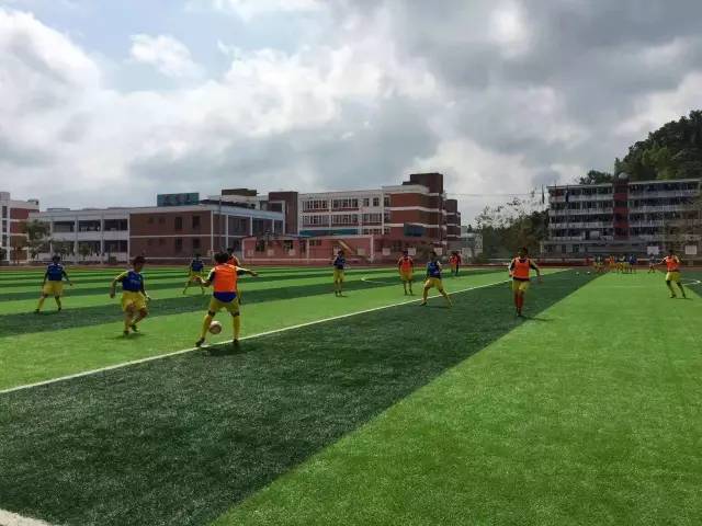 国足无缘世界杯排名,国足无缘世界杯为什么还要踢球