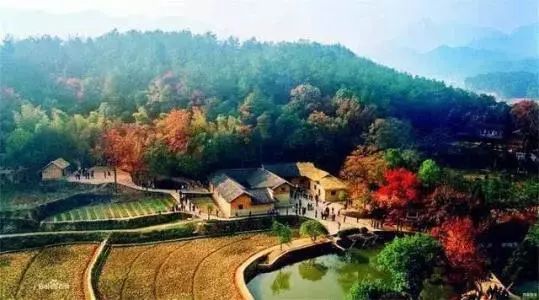 独一无二的进球,毫无意义的进球