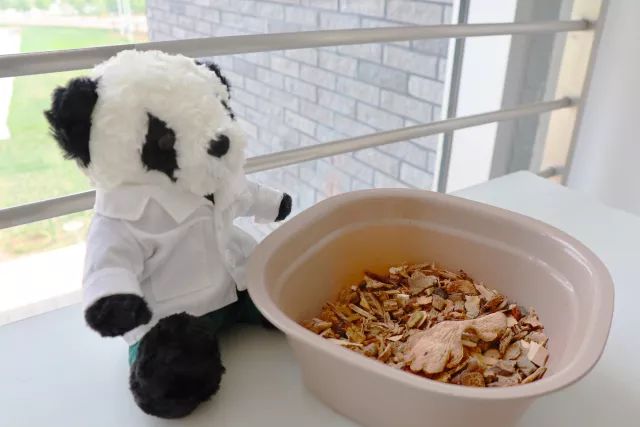 在中医诊所要做什么,在北中医读研的体验