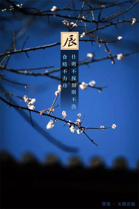 中国十二时辰之美,中国十二时辰书籍