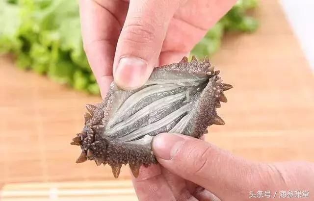海参怎么泡发海参筋软,海参筋去掉了还有营养价值吗