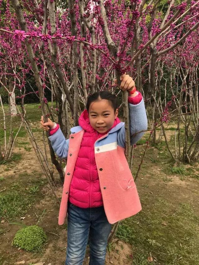 了不起的孩子南京,南京栖霞区最牛逼的小学