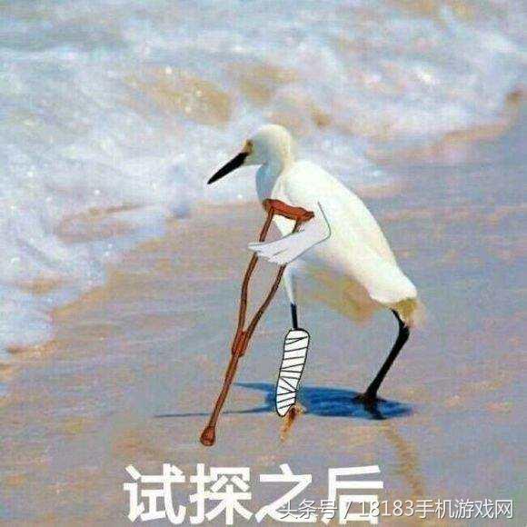 一把辛酸泪全文,一把辛酸泪全集