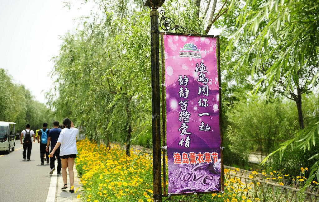 北戴河泡海避暑,北戴河海滩避暑