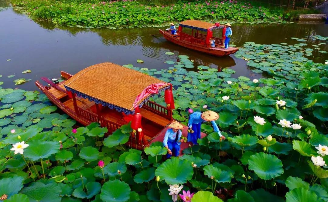 台儿庄古城最新免票政策,台儿庄古城对临沂人免门票吗