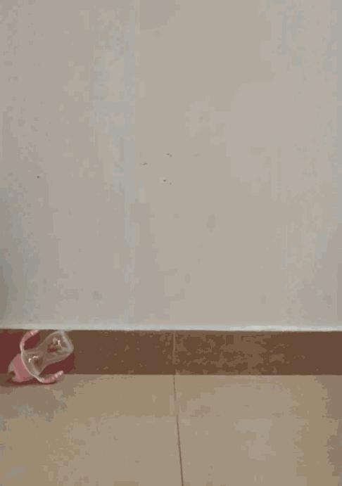 8款婴童吸管杯测评：哪款让宝宝喝得方便，妈妈用得安心？