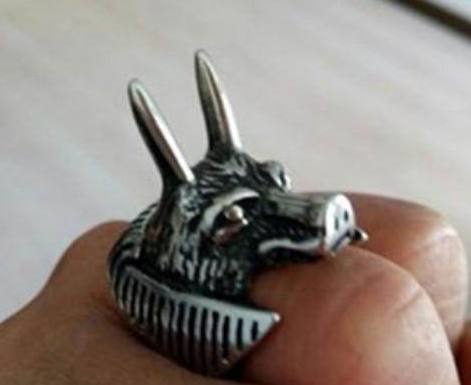 十二星座专属戒指狮子座的最好看 (十二星座狮子座专属戒指)