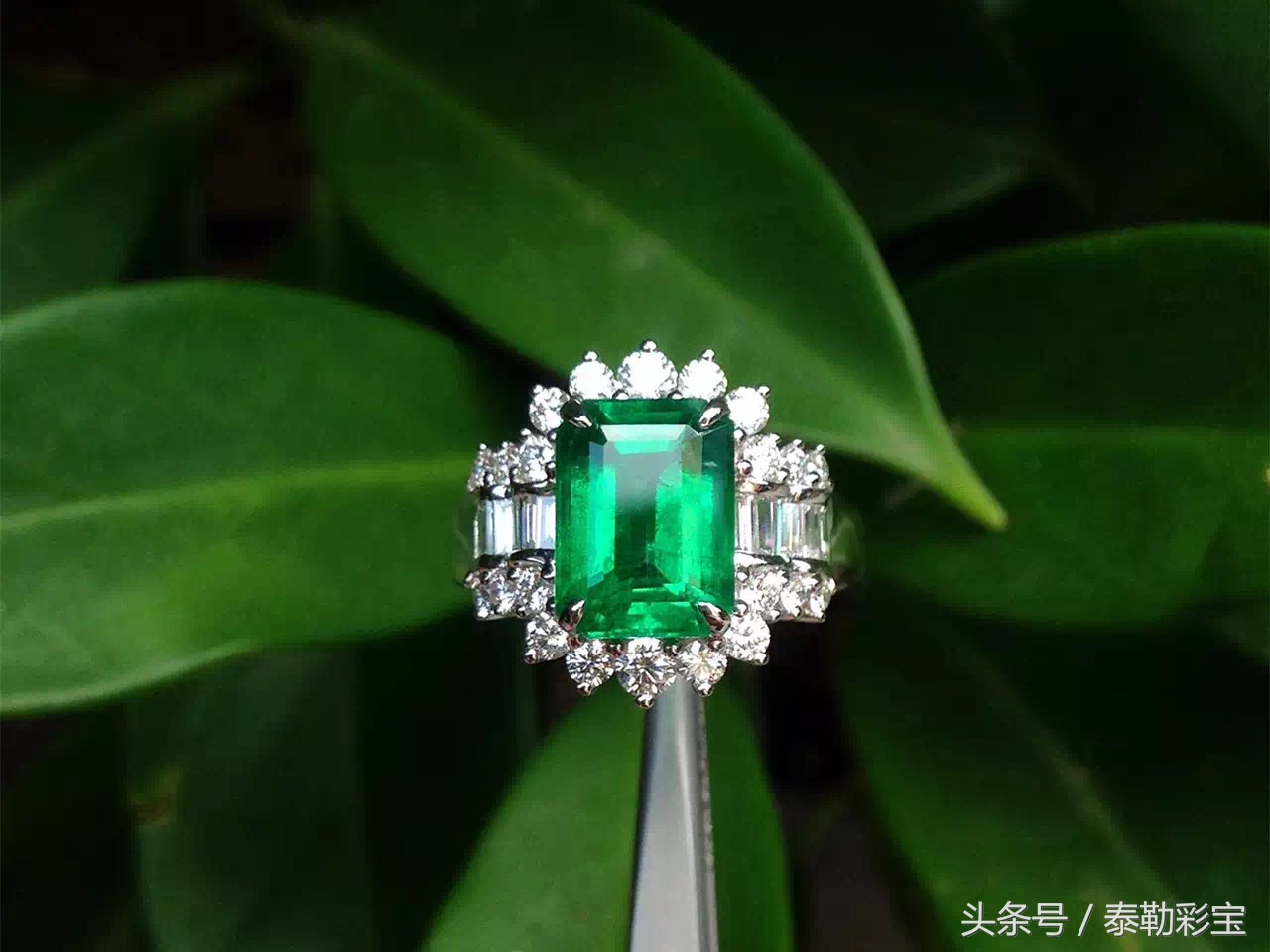 巴西在世界杯的表现,巴西被德国世界杯打败