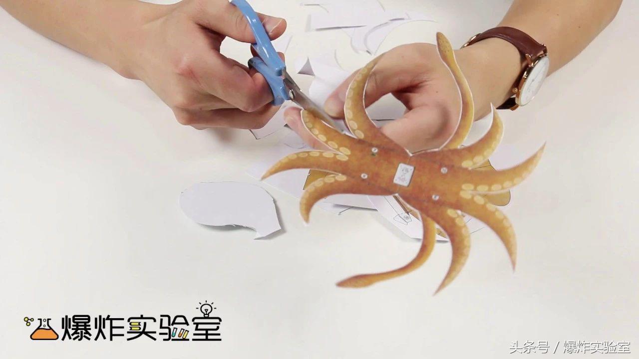 看了就能学会的手工折纸,翻转小章鱼折纸