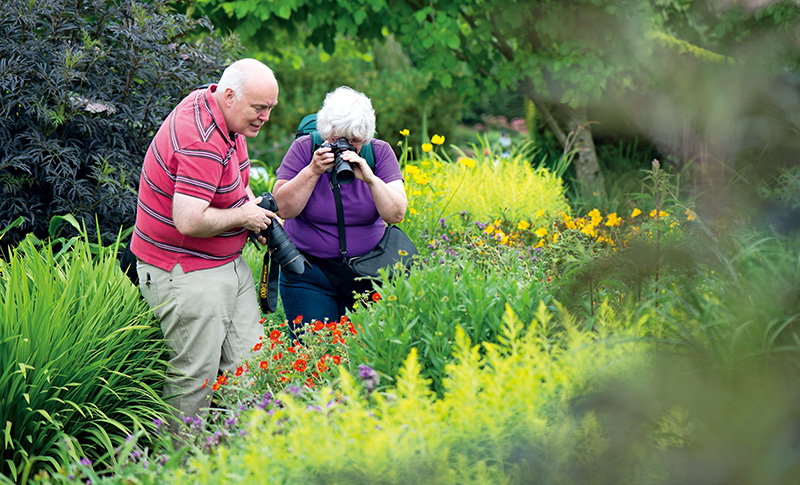 探访岭南花卉市场,花卉王国荷兰郁金香田