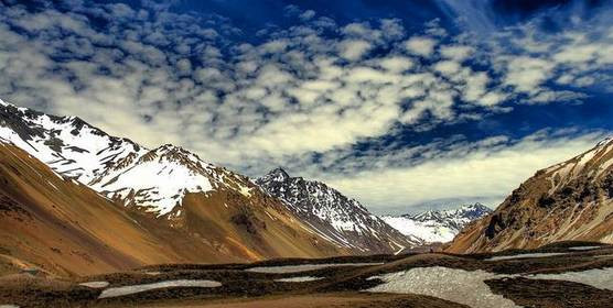 世界杯决赛潘帕斯雄鹰高卢,世界杯潘帕斯进球