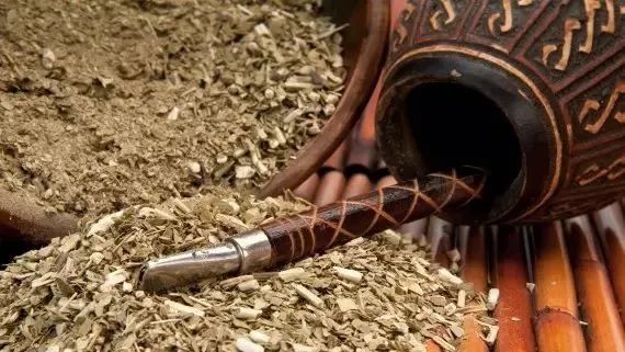 世界杯决赛潘帕斯雄鹰高卢,格子军团vs潘帕斯雄鹰复仇之刃