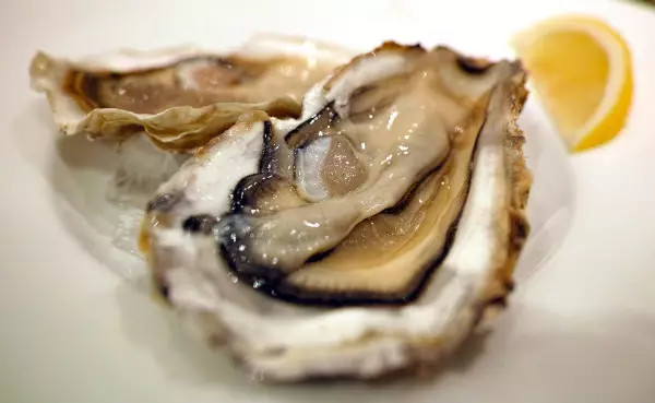 世界杯决赛潘帕斯雄鹰高卢,世界杯潘帕斯进球